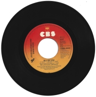Diana Ross & Julio Iglesias - All Of You (Single)