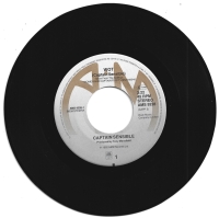 Captain Sensible - Wot (Single)